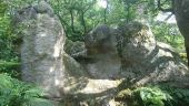 Point d'intérêt Fontainebleau - 06 - Rocher du Chameau (pas de repère) - Photo 1