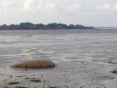 Punto de interés Saint-Armel - Vue sur la mer - Photo 1