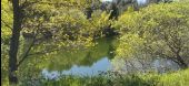 Punto de interés Collobrières - petit lac - Photo 1