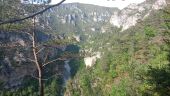 Point d'intérêt Massegros Causses Gorges - point de vue  - Photo 3