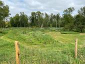 Punto de interés Estouy - Marais du moulin de la porte sentier de découverte  - Photo 1