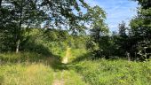 Point of interest Oigny-en-Valois - Unnamed POI - Photo 5