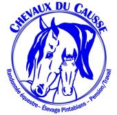 Punto di interesse Lentillac-du-Causse - Chevaux du Causse - Photo 1