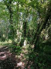 POI Moult-Chicheboville - 1#5 - Entre Plaine et Marais à Chicheboville - Photo 1