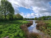 Point of interest Villeneuve-en-Retz - Etang du moulin - Photo 1
