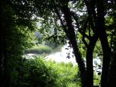 Point d'intérêt Auderghem - Vue sud depuis la Drève du Rouge Cloître - Photo 1