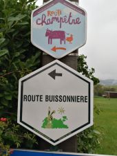 Point of interest Durbuy - La Route Champêtre et La Route Buissonnière - Photo 1