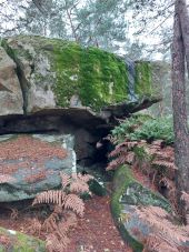 POI Fontainebleau - Unnamed POI - Photo 1