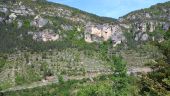 Point of interest Gorges du Tarn Causses - fourche vers Anilhac - Photo 2