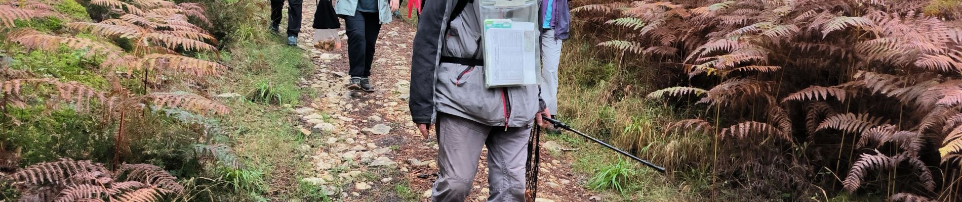 Tocht Stappen Fontainebleau - la faisanderie 20 octobre 2023 - Photo