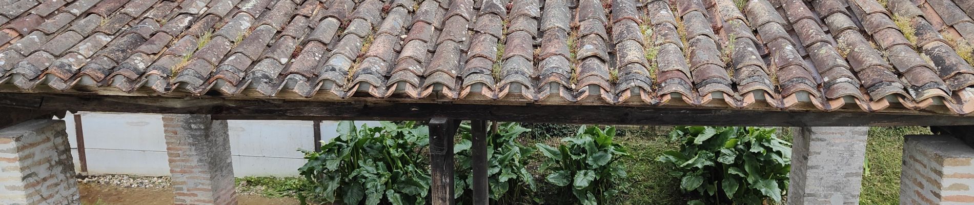 Randonnée Marche Arsac - Arsac : randonnée entre vignes et sous bois  - Photo