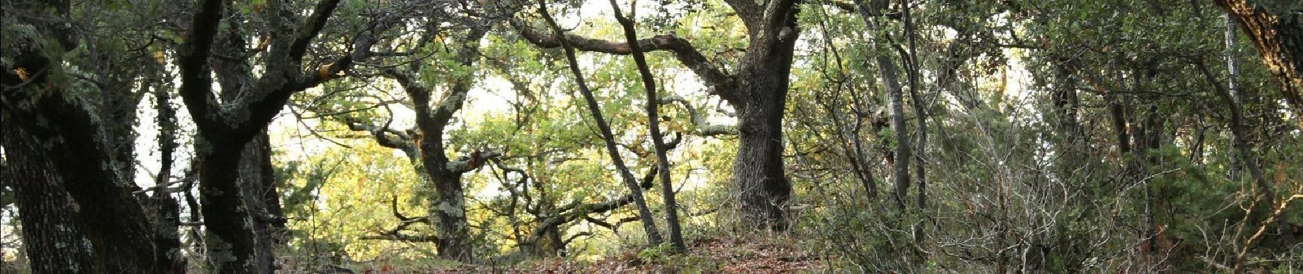 Randonnée Marche Clansayes - Clansayes Le Rouvergue 8km. - Photo