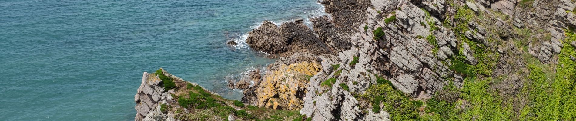 Trail Walking Erquy - Bretagne 2021 : Erquy - cap d'Erquy - plage du Portuais .ori - Photo