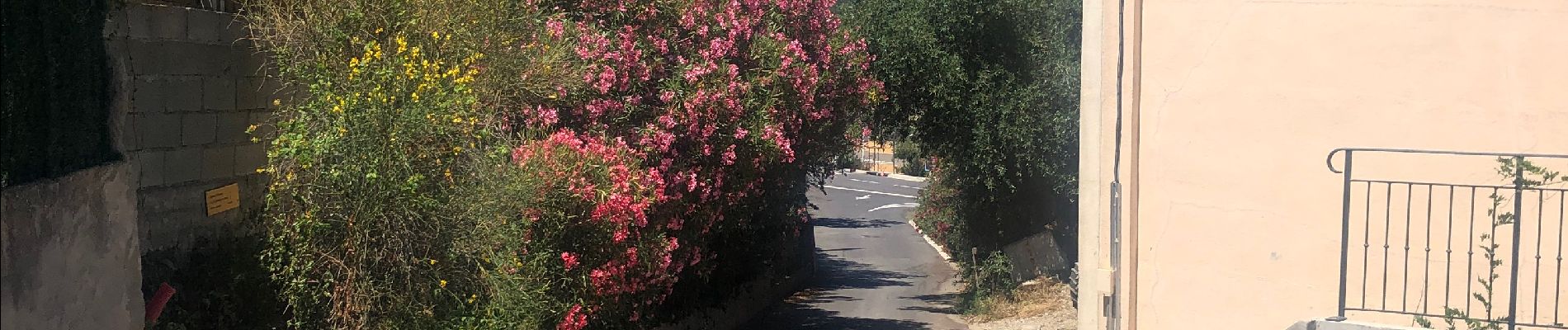 Tocht Stappen Montner - Montner Força Réal et château de Caladroy - Photo