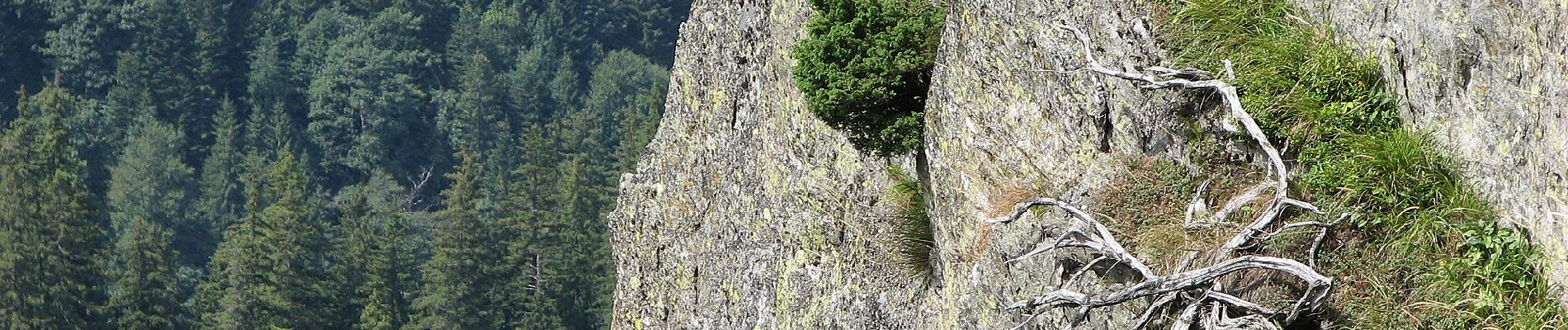 Randonnée A pied Inconnu - Transfăgărășan - Șaua Netedu - L. Bâlea - Photo