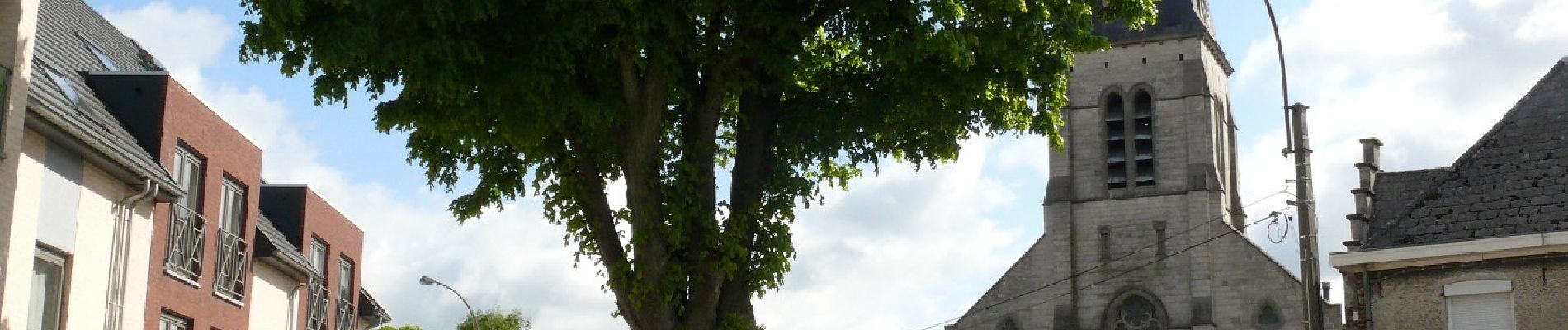 Randonnée A pied Hautem-Saint-Liévin - Natuurwandeling Vlierzele - Photo