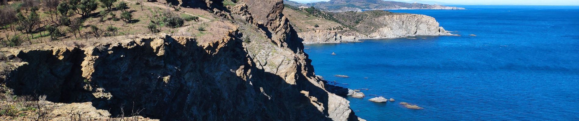 Tour Wandern Banyuls-sur-Mer - 08 novembre 2023 Banyuls-sur-Mer  - Photo