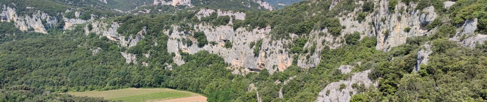 Randonnée Marche Vallon-Pont-d'Arc - Rando Châmes Ardèche - Photo