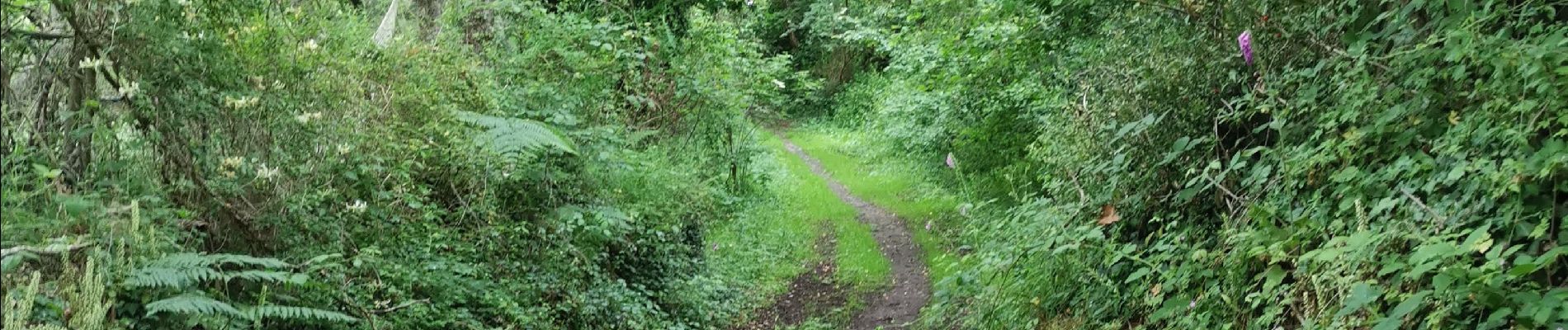 Trail Walking Pont-l'Abbé - kervazegan - Photo