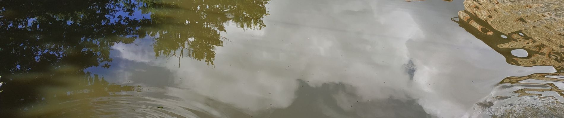 Tocht Stappen Chenereilles - Vérines alezieux le Perrier le lac - Photo