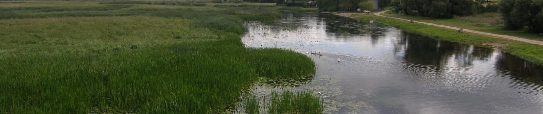 Tour Zu Fuß Sojczyn Grądowy - Szlak czerwony Goniądz-Ruda - Photo