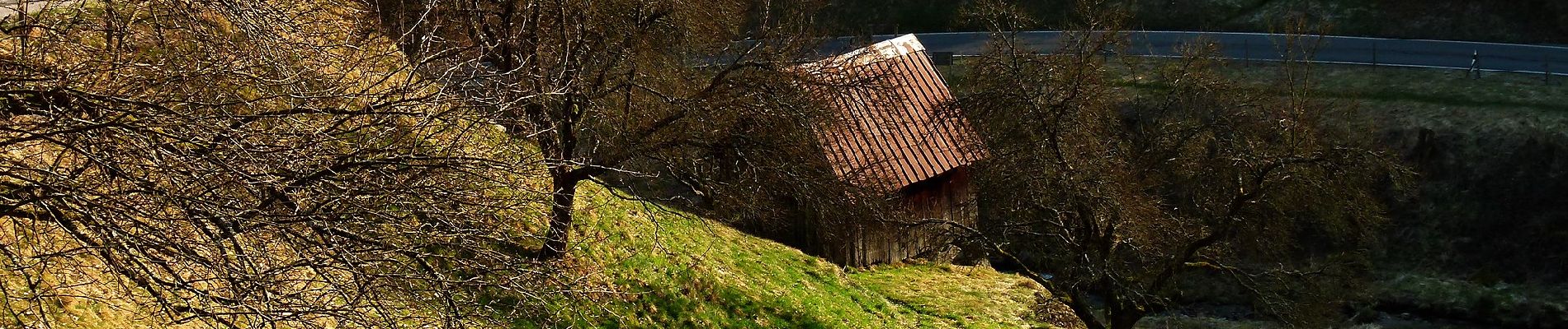 Tocht Te voet Forbach - Heimatweg - Photo