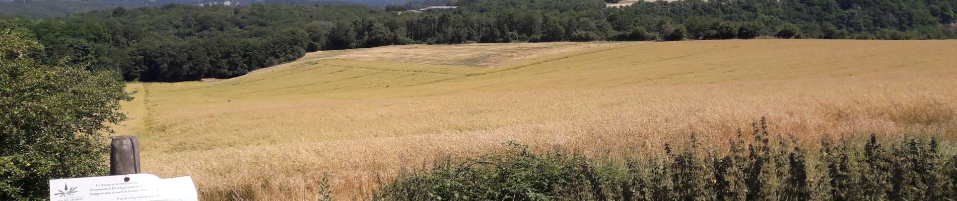 Tocht Stappen Anhée - Boucle de 12 km au départ de Warnant - Photo