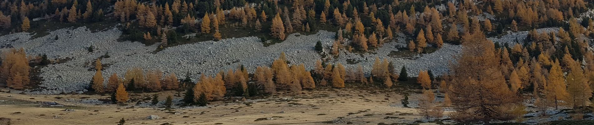 Tour Wandern Seyne - Dormillouse en boucle par le lac du Milieu - Photo