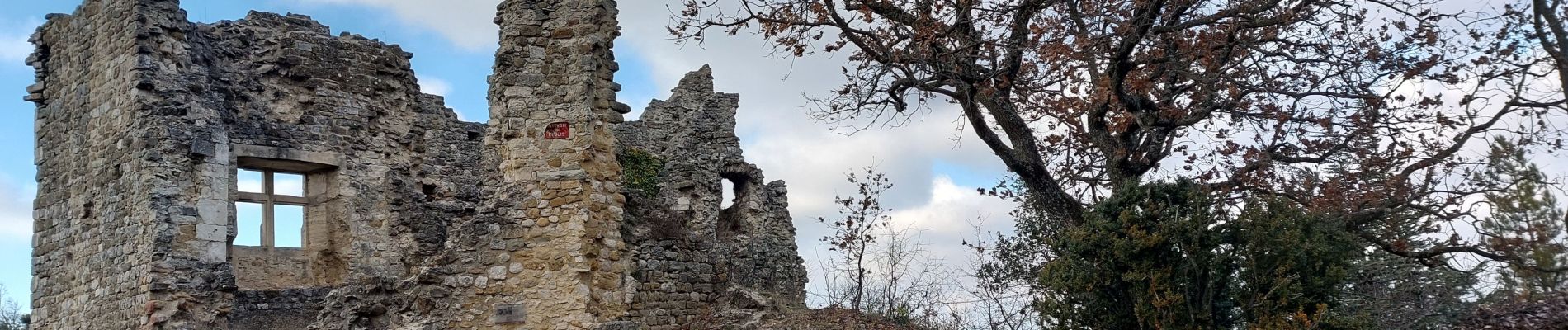 Randonnée Marche Rochefort-en-Valdaine - Le Colombier Château Rochefort en Valdaine 6km - Photo