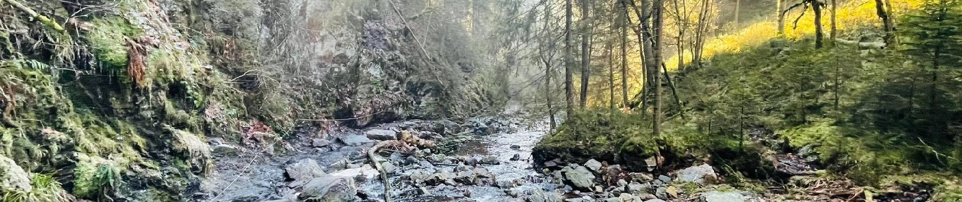 Tocht Stappen Malmedy - Balade de rêve 4 - Le canyon des Trôs Marets - Photo