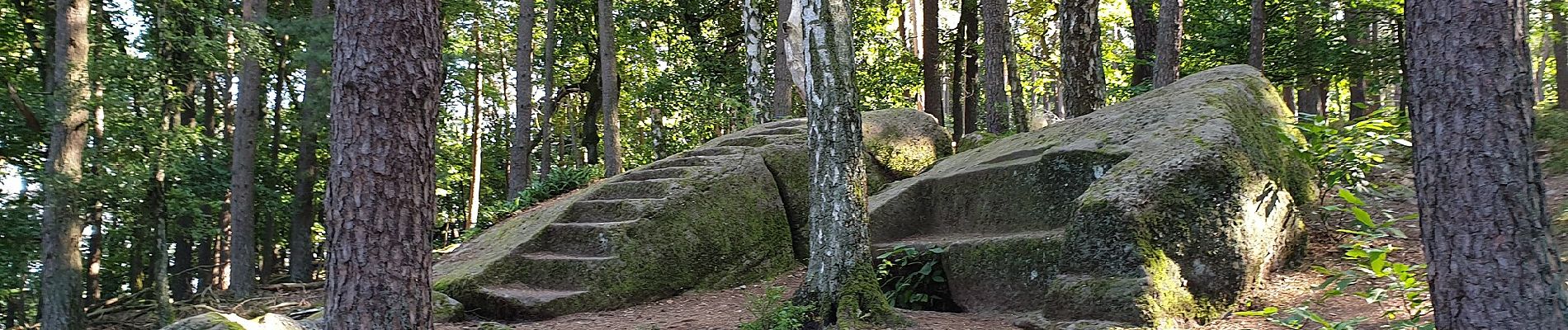 Randonnée A pied Bad Dürkheim - Historischer Rundwanderweg Leistadt - Photo