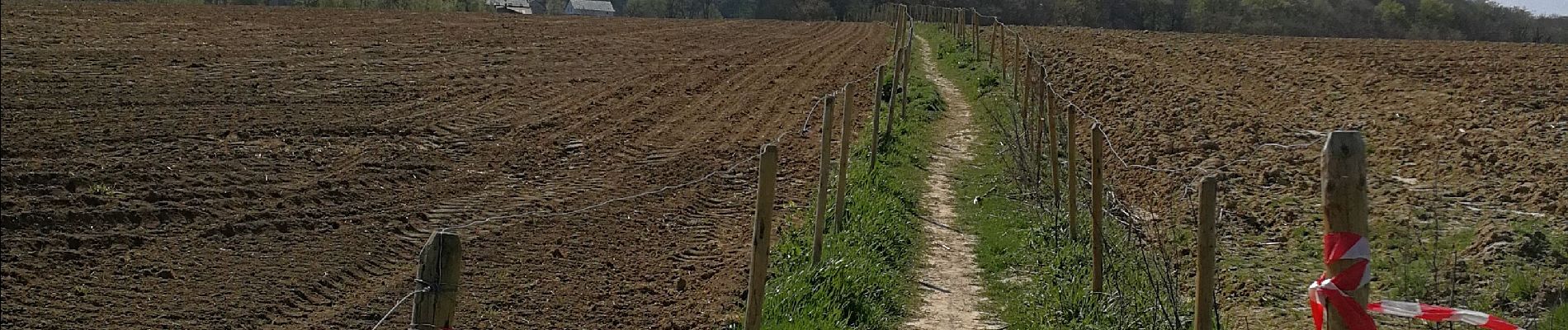 Punto de interés Braine-le-Château - Sentier réhabilité (Belle initiative) - Photo