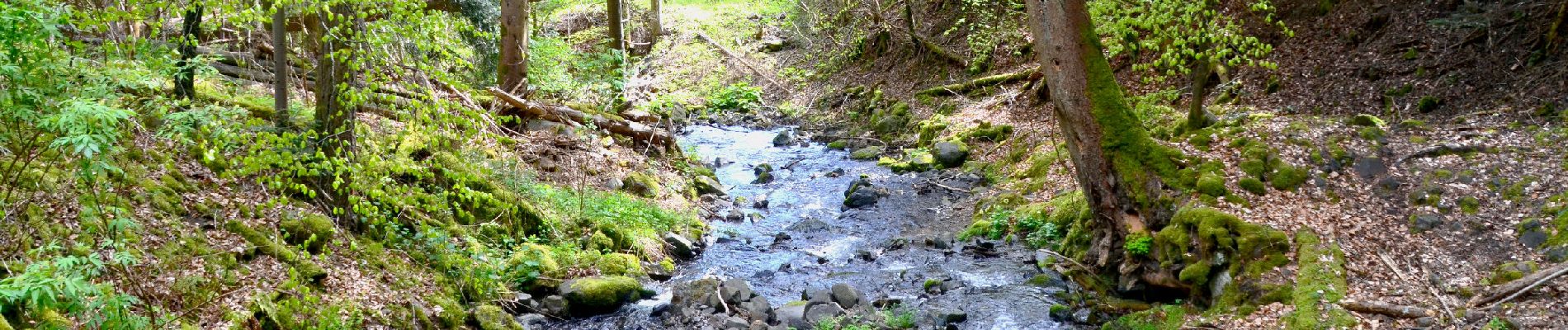 Tocht Stappen Saint-Victor-la-Rivière - St_Victor_Vallon_Courbanges - Photo