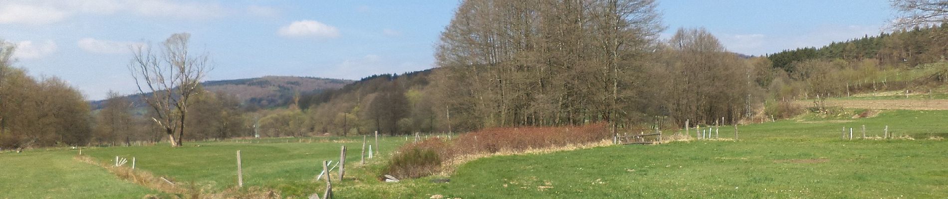 Tocht Te voet Sinntal - Spessartbogen Zubringer Jossa - Marjoß - Photo