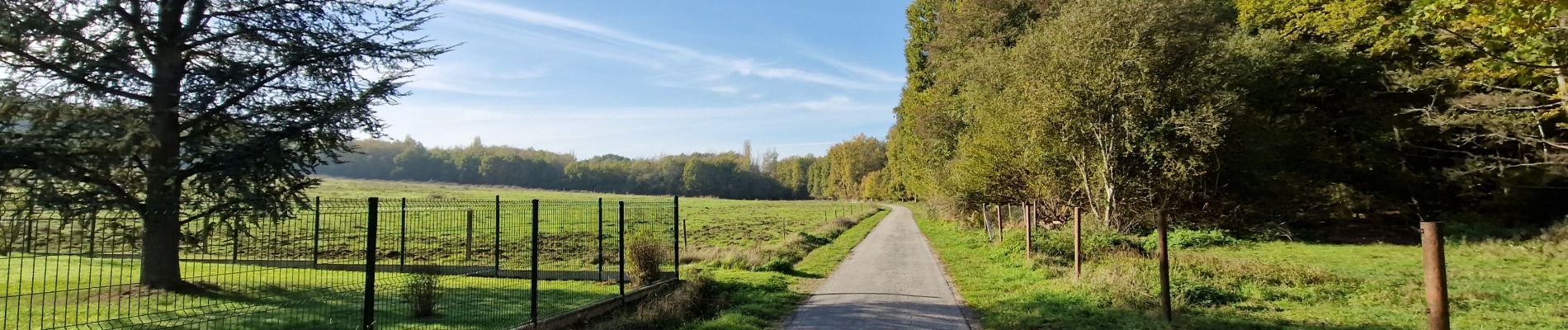 Percorso Marcia La Celle-les-Bordes - Yvelines_La-Celle-Les-Bordes=>Moutiers - Photo