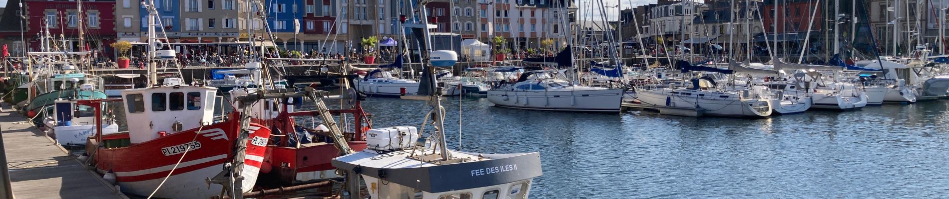 Percorso Marcia Paimpol - Boucle Port de Paimpol pointe de Guilben - Photo