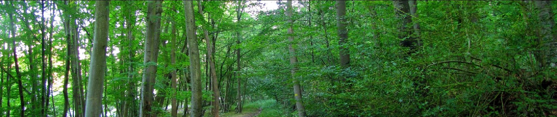 Point d'intérêt Trosly-Breuil - Point 7 - Photo