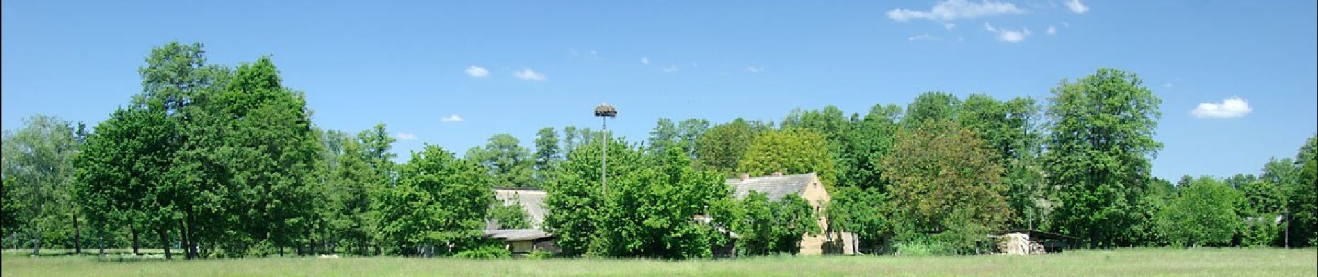 Percorso A piedi Burg (Spreewald) - Wanderweg gelber Balken - Photo