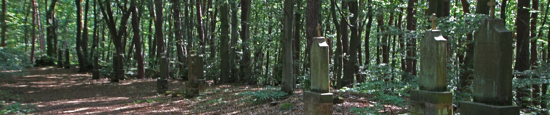 Tour Zu Fuß Clausen - Wandern in Clausen C6 - Photo