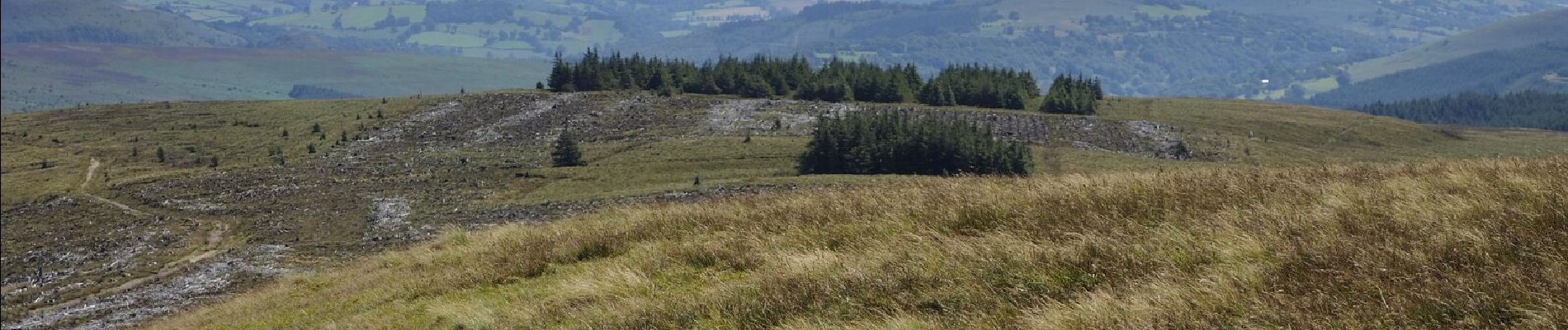 Randonnée A pied Unknown - Black Mountains Fell Race - Photo