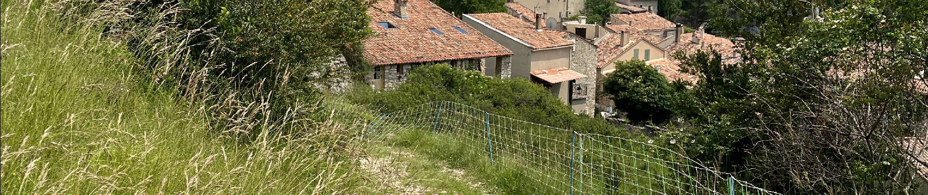 Randonnée Marche Rougon - Mourre du chanier par rougon Réél - Photo