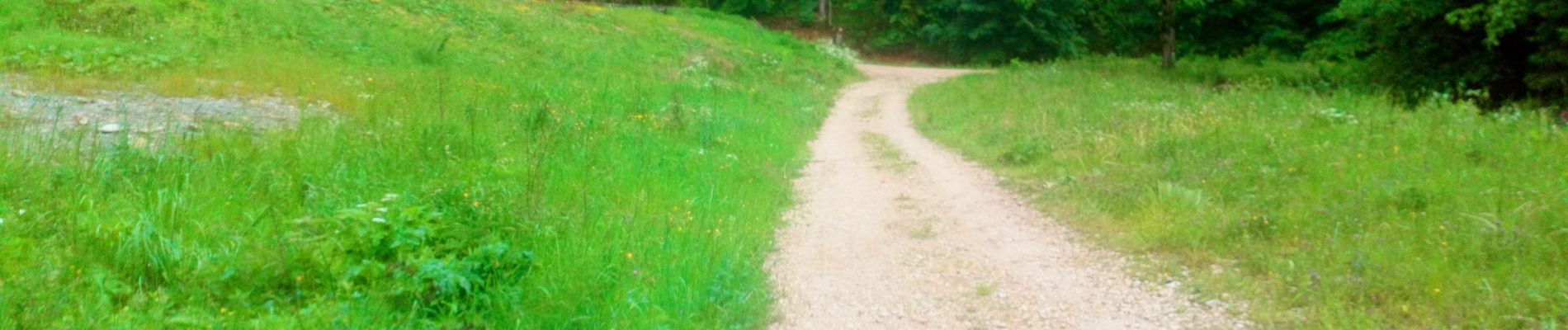 Tocht Stappen Le Locle - Marche 2019 - Colo - Photo