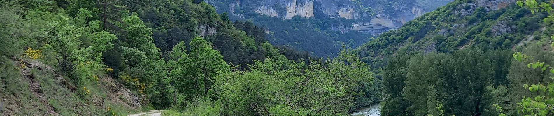 Punto di interesse La Malène - fourche vers roc des Hourtous - Photo