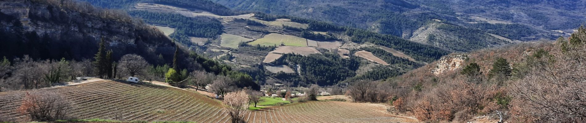 Percorso Marcia Sainte-Euphémie-sur-Ouvèze - Ste Euphémie sur Ouvèze 15km - Photo