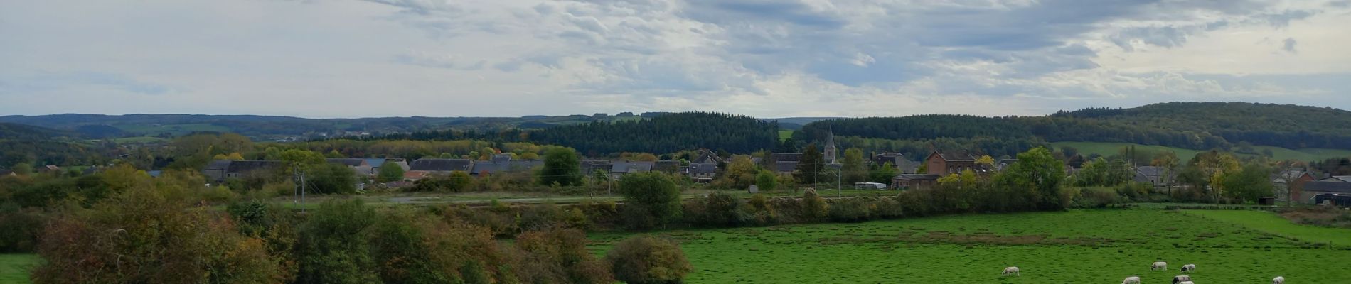 Tour Wandern Beauraing - Adeps Pondrôme via Revogne 10km 23-10-2022 - Photo