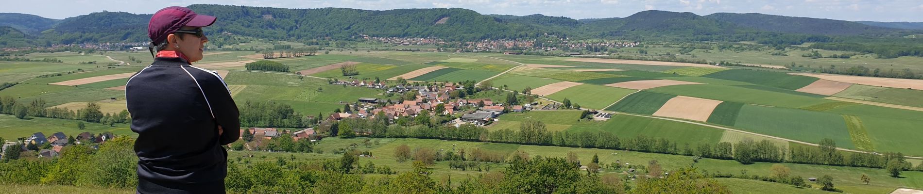 Randonnée Marche Dossenheim-sur-Zinsel - Le Bastberg depuis Dossenheim-sur-Zinsel - Photo