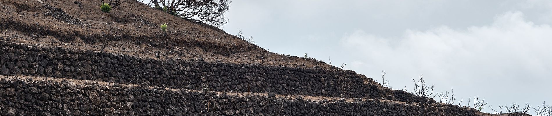 Randonnée A pied Pantelleria - Bagno Asciutto di Benikulá - Favara Grande - Tráçino - Photo