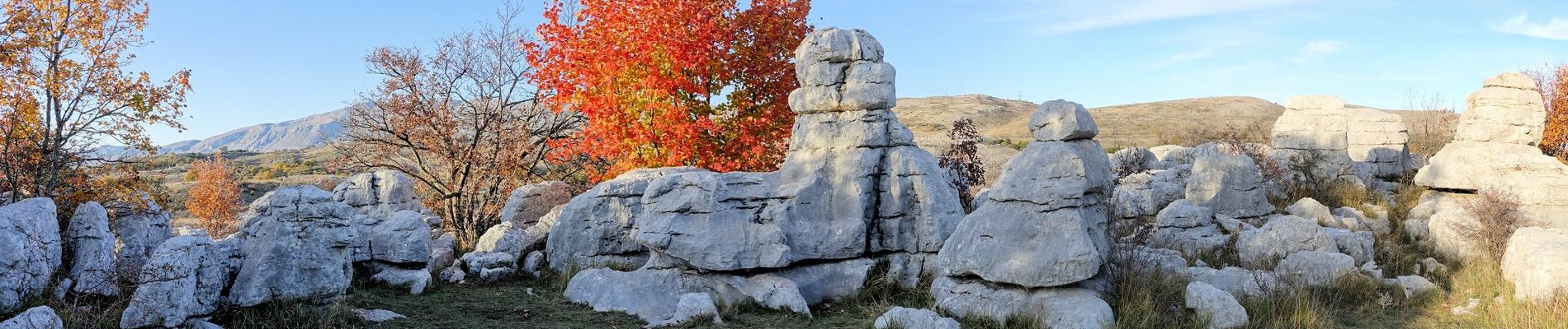 Point d'intérêt Courmes - Les Sambres Brunes  - Photo