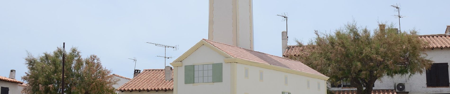 Percorso A piedi Saintes-Maries-de-la-Mer - Boucle entre les deux bras du Rhône - Photo