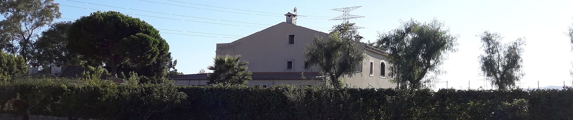 Tocht Te voet Cornellà de Llobregat - Agricultura al Delta del Llobregat - Photo